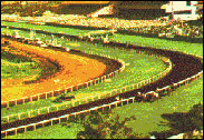 Mahalaxmi Race Course